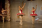 Todo sobre los tipos de Ballets Rusos - GuiaRus Tours