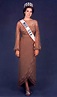 Photos show how the winning gowns from the Miss USA pageant have ...