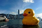 Giant Yellow Rubber Duck in Victoria Harbor Hong Kong | The Hong Kong ...