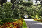 Fitzroy Gardens | Things to do in East Melbourne, Melbourne | Visit ...