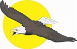 Eagles Clipart Free Download | Free download on ClipArtMag