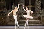 Royal Ballet – The Nutcracker – London – DanceTabs