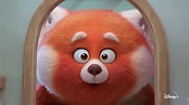 Red: um panda vermelho gigante protagoniza a nova história da Disney ...