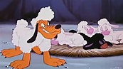 Sheep dog ️ Classic Cartoon Disney for kids - YouTube