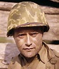 Combat! - Vic Morrow as Sergeant Saunders (TV Series 1962–1967 ...