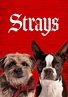 Strays streaming: where to watch movie online?