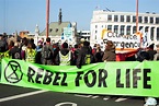Extinction Rebellion: Rebel for Life - Synergetic Press