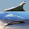 Back to the Future: The Story of Concorde and the Dawn of a New Race ...
