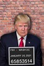 Donald Trump Mugshot Funny Political Inch Poster 24x36 inch | eBay