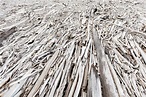 Premium Photo | Background pattern dead driftwood disaster concept