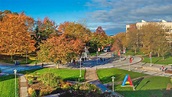 Stony Brook University - Stony Brook, NY | Cappex