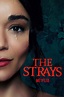 The Strays (2023) - Posters — The Movie Database (TMDB)