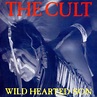 Wild Hearted Son - Billy Duffy