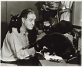 Us dramatist john patrick 1905 95 and his cats – Artofit