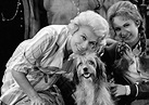 Petticoat Junction Bea Benaderet Jeannine Riley with dog Higgins 5x7 ...