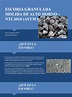 Escoria Granulada Molida de Alto Horno - NTC4018 | PDF | Cemento | Hormigón