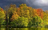 Sfondi : alberi, lago, autunno, nuvoloso, nuvole, costa, trame ...