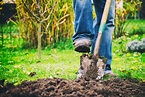 Farmer Digging Earth with Shovel - Rogue Produce