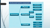 Environment and its components - Online Biology Notes