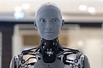 La mayoría de los robots humanoides "avanzados" del mundo tendrán ...