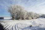 Photos Denmark Winter Nature Snow Roads Seasons 3264x2172