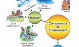 Components of Environment- Definition, Chart, PDF for Class 7