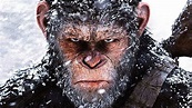 How to Watch the Planet of the Apes Movies in Chronological Order - IGN