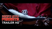 Santa's Little Ferrets Trailer HD - YouTube