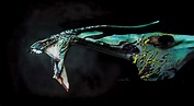 Free download | HD wallpaper: Great Leonopteryx, green monster ...