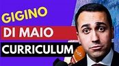LUIGI DI MAIO CURRICULUM VITAE - YouTube