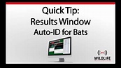 Kaleidoscope Pro Quick Tip: Auto-ID for Bats Results Window | Record ...