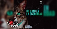 Letra Un Gato En La Oscuridad – Daniel Villalobos Y Su Grupo En SAPS