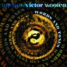 Sword And Stone | Victor Wooten