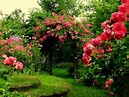 Flower rose garden | Дизайн цветочного сада, Красивые цветы, Красивые сады