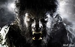 the Wolfman - Werewolves Wallpaper (32243434) - Fanpop