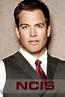 NCIS Season 6 DVD Photo Shoot ~ Michael Weatherly as Very Special Agent ...
