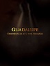 Guadalupe: The Miracle and the Message (2014) - David Naglieri ...