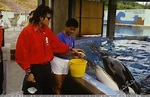 Michael with Willy (from Free Willy the movie) :) Liberen A Willy, Free ...