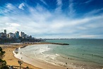 Qué hacer en Mar del Plata 2022 - Buena Vibra