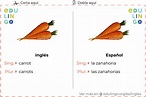Zanahoria en inglés • Escritura y pronunciación (con imágenes)