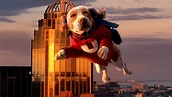 Underdog (2007) - Backdrops — The Movie Database (TMDB)