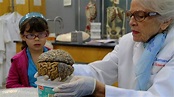 My Love Affair with the Brain: The Life and Science of Dr. Marian ...