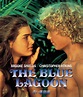 The Blue Lagoon (1980) | Blue lagoon movie, Blue lagoon, Brooke shields