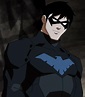 Nightwing (Young Justice) | Heroes and Villains Wiki | Fandom