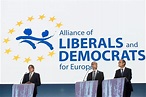 Der (europäische) Föderalist: Die europäischen Parteien und ihre ...