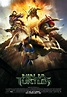 Ninja Turtles - Película 2014 - SensaCine.com