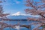 【2024】河口湖8個觀光景點＆富士山拍攝景點和交通方式 | MATCHA - 日本線上旅遊觀光雜誌