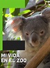 Mi vida en el zoo (Programa de TV) | SincroGuia TV