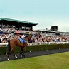 MARKET RASEN RACECOURSE - All You Need to Know BEFORE You Go