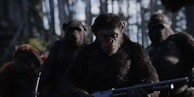 'Kingdom of the Planet of the Apes' Official Release Date Finally ...